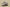 Gold Label Black Buckle Ad Originals Yeezy 500 Soft Vision Brown Coconut Replica