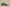 Gold Label Black Buckle Ad Originals Yeezy 500 Taupe Light Replica