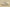 Gucci Screener Retro Low Beige GG Monogram Sneakers with Gum Sole & Twisted Web Laces