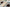 Gucci Tennis Low Multicolor GG Embroidered Canvas White Sneaker