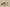 Kanye West Yeezy Foam Runner MX Sand Gray and Yellow Mix