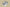 Kyrie 5 Ep Light Grey/Light Grey/White