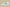 Kyrie 5 Ep Light Grey/Light Grey/White