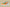 Kyrie 5 SpongeBob Pineapple House Orange/Green-Blue
