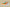 Kyrie 5 SpongeBob Pineapple House Orange/Green-Blue