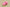 Kyrie 5 Spongebob Patrick Lotus Pink/University Red