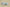 Kyrie 7 EP Copa/Rattan/Roma Green/Dark Smoke Grey
