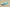 Kyrie 7 EP Copa/Rattan/Roma Green/Dark Smoke Grey