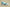 Kyrie 7 EP Copa/Rattan/Roma Green/Dark Smoke Grey