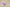 Kyrie 7 EP Pink/Purple/White
