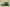 Kyrie 7 EP Weatherman Stadium Green/Volt/Total Orange/Black