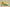 Kyrie 7 EP World 1 People Yellow Strike/Green Abyss/Bright Crimson/Black
