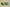 Kyrie 7 EP World 1 People Yellow Strike/Green Abyss/Bright Crimson/Black