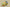 Kyrie 7 EP World 1 People Yellow Strike/Green Abyss/Bright Crimson/Black