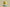 Kyrie 7 EP World 1 People Yellow Strike/Green Abyss/Bright Crimson/Black