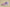 Kyrie 7 Ep Daughters Lilac/Melon Tint/Indigo Burst/Sail