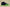 Kyrie 7 Ep Midnight Navy/Midnight Navy/Lagoon Pulse