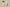 Kyrie 7 Ep Yin Yang Edition Pale Ivory/Chlorine Blue/Black