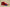 Kyrie 7 Pre-Heat Icons of Sport Red/Multi-Color