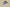 Kyrie 7 SE GS Chip Light Smoke Grey/Smoke Grey/Summit White/White