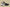 Kyrie Low 4 Ep Takashi Black/Black/White/Metallic Gold