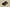 Kyrie Low 4 Ep Takashi Black/Black/White/Metallic Gold
