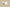Kyrie Low 4 Ep Takashi Black/Black/White/Metallic Gold