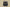 Kyrie Low 4 Ep Takashi Black/Black/White/Metallic Gold