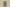 Kyrie S2 Hybrid Desert Camo Tan/Tan/White
