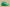 Moncler Trailgrip GTX Low – Monochrome Alpine Green Edition