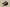 Nike Air Jordan 13 XIII"Black Flint"