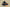 Nike Air Zoom G.T. Cut 3 EP Black with Vibrant Yellow Highlights