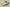 Nike Dunk Low "Multi Color Vitality" Green Brown Triple Swoosh Deconstructed Strap Shoes