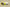 Nike KD EP “Cyber” Lime Green Basketball Shoe