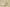 Nike KD EP “Cyber” Lime Green Basketball Shoe