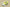 Nike KD EP “Cyber” Lime Green Basketball Shoe