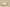 Nike KD EP “Cyber” Lime Green Basketball Shoe