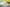 Nike KD EP “Cyber” Lime Green Basketball Shoe