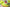 Nike KD EP “Cyber” Lime Green Basketball Shoe