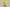 Nike KD EP “Cyber” Lime Green Basketball Shoe