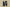 Nike KD “Beginnings” Black Basketball Shoe