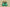 Nike KD “Weatherman” Lush Green Basketball Shoe