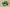 Nike KD “Weatherman” Lush Green Basketball Shoe