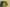 Nike KD “Weatherman” Lush Green Basketball Shoe