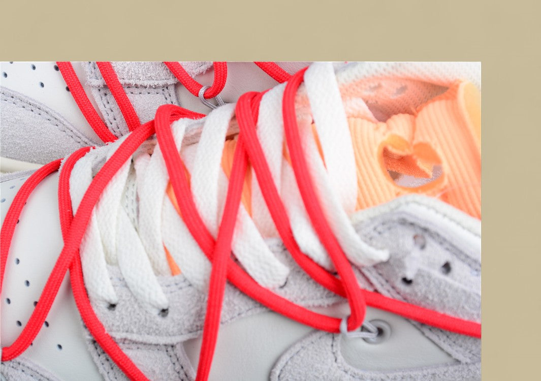 Nike SB Dunk OFF-WHITE Joint 40of50 Gray-Red