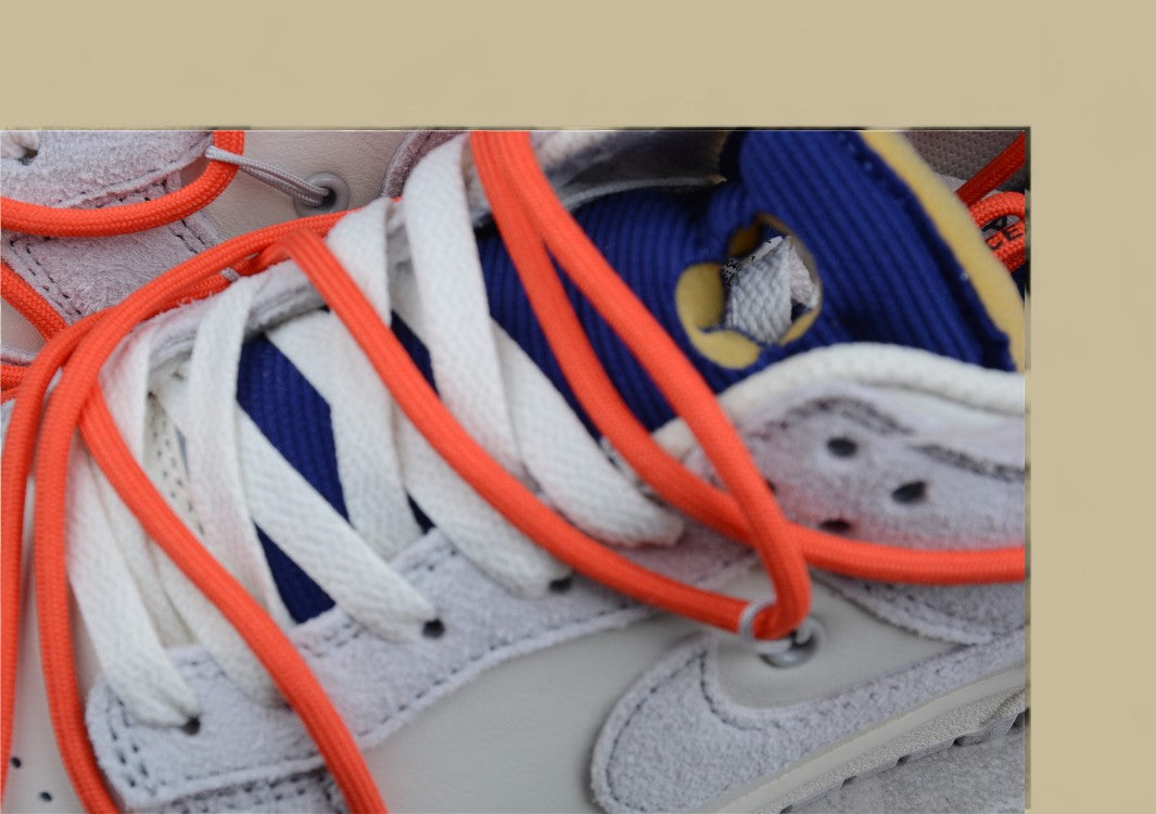 Nike Sb Dunk Off-white Joint 13of50 Suede Gray Orange Purple