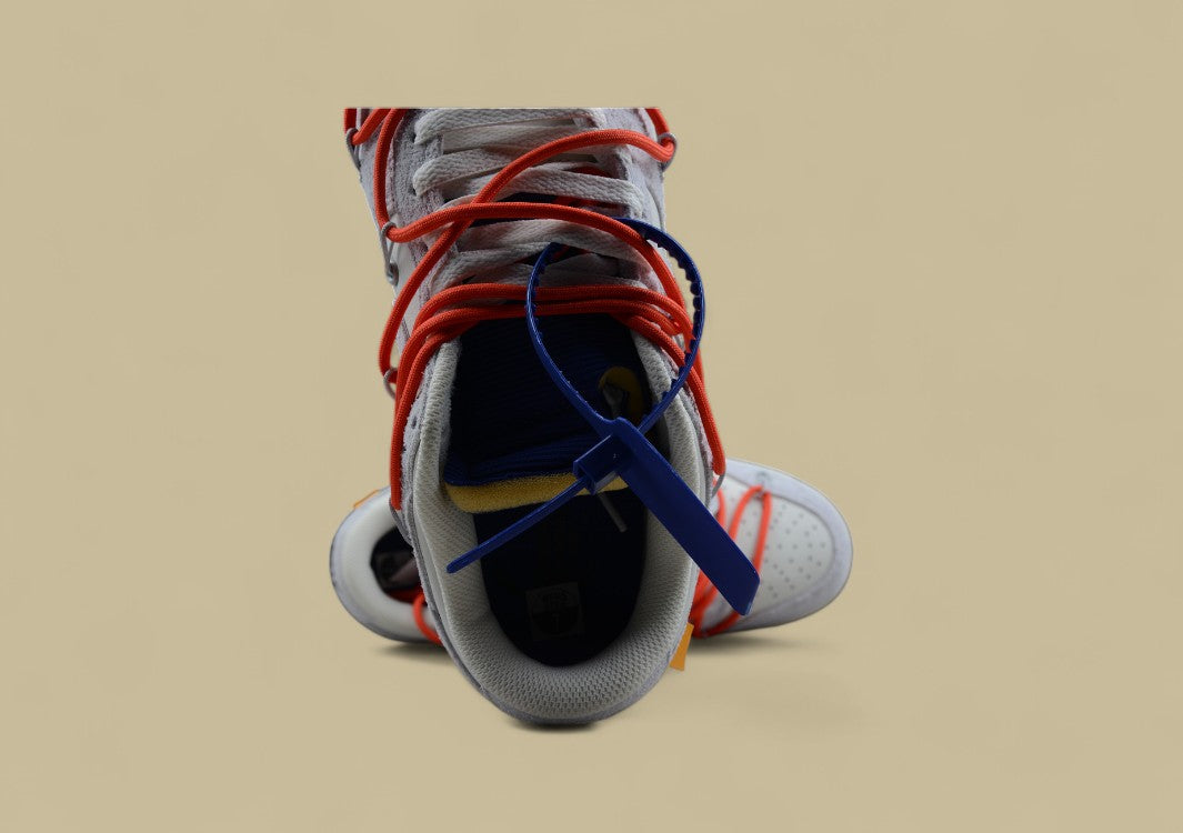 Nike Sb Dunk Off-white Joint 13of50 Suede Gray Orange Purple