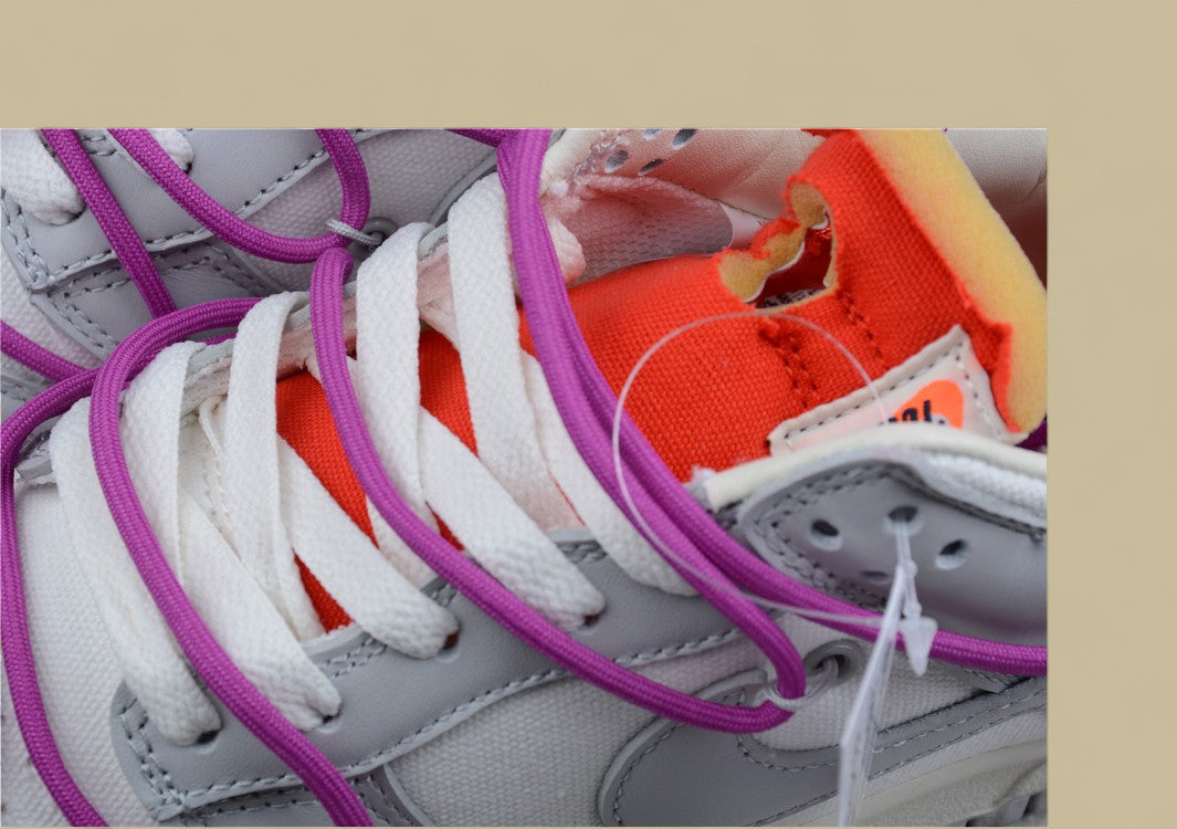 Nike Sb Dunk Off-white Joint 45of50 Gray Purple