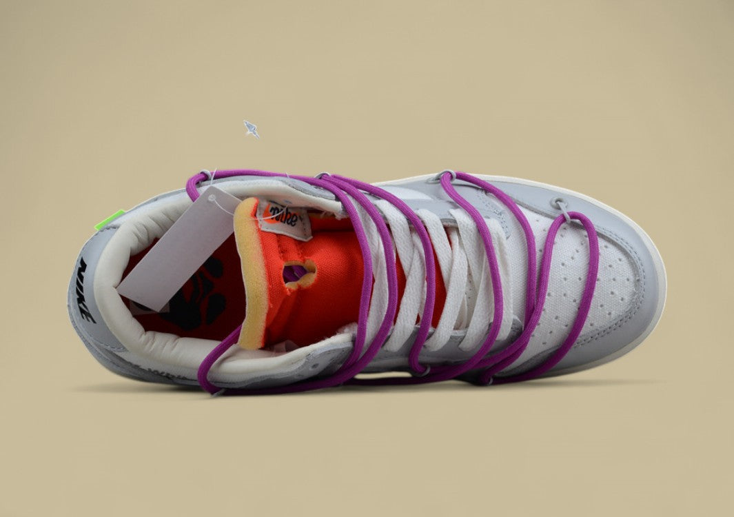 Nike Sb Dunk Off-white Joint 45of50 Gray Purple