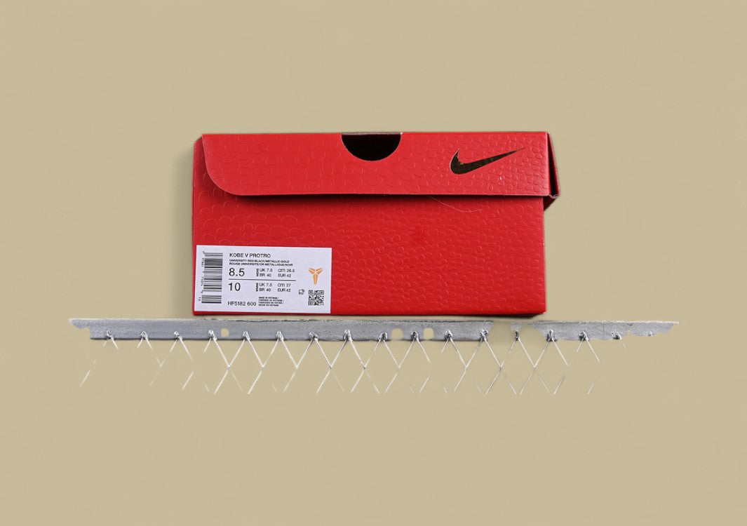 Nike Zoom Kobe "University Red" Black & Gold Details on Red Performance Shoe